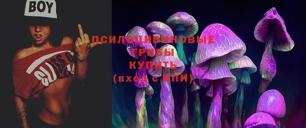бошки Баксан